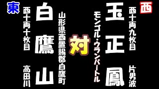 大相撲五月場所四日目　白鷹山（2024-05-15）