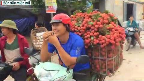 Cập Nhật Giá Vải Thiều Lục Ngạn mới nhất 8/6/2020, Vải Thanh Hà đẹp giá 35k - 38k | Bản sắc miền núi