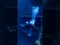 Vis diving Croatia, BRIONI max depth 61 m.