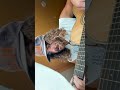 @thisishazlett doing a @NoahKahan cover is everything we needed #indiefolk #noahkahan #folkmusic