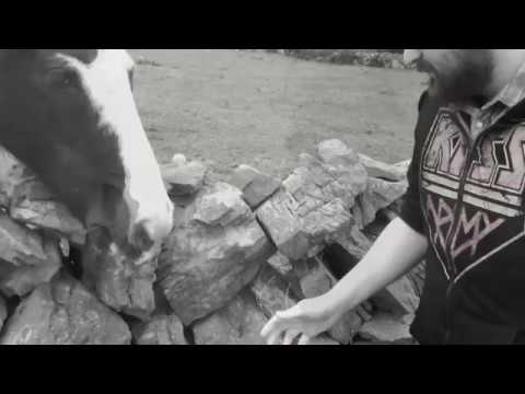 Strings & Things - The Safe Way Out (Official Music Video)