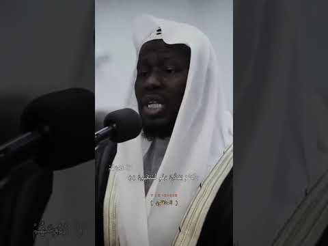 تلاوة حجازيه للقارئ عيسى عمر سناكو