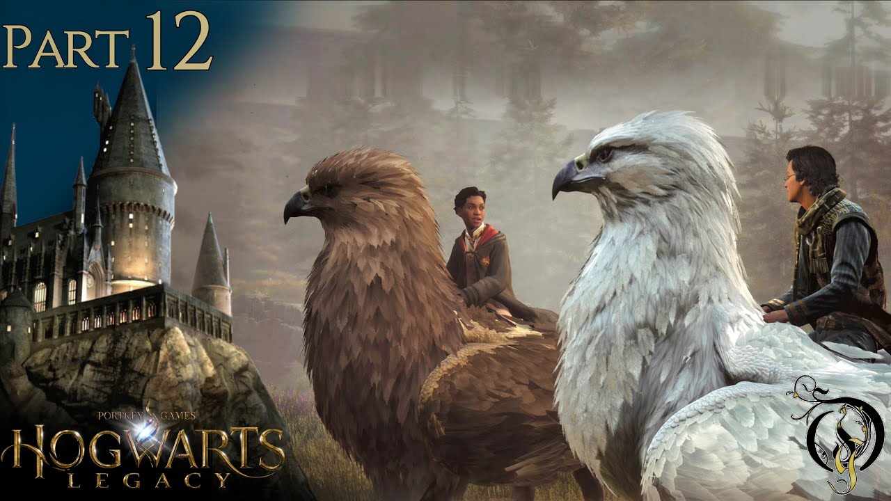 【ホグワーツ・レガシー】#12 現場の闇の中～ハイキープ＆サイドクエスト（Hogwarts Legacy Walkthrough）