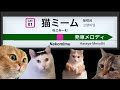 新宿駅旧メロディあり もしも発車メロディーで使われている曲が猫ミームになったら 新宿駅旧メロディあり もしも発車メロディーで使われている曲が猫ミームになったら