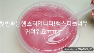내가좋아하는동물시리즈/뿌직님영상/설차미 screenshot 5