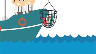 Web Traffic Explainer Video