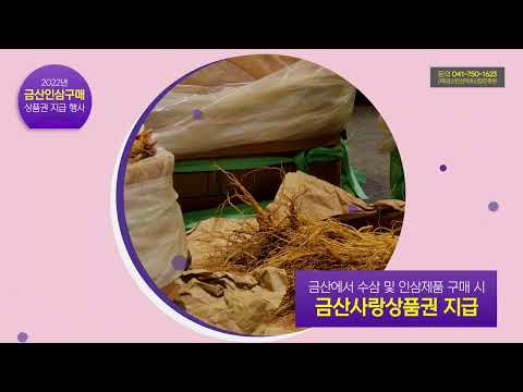 2022금산인삼구매상품권지급행사