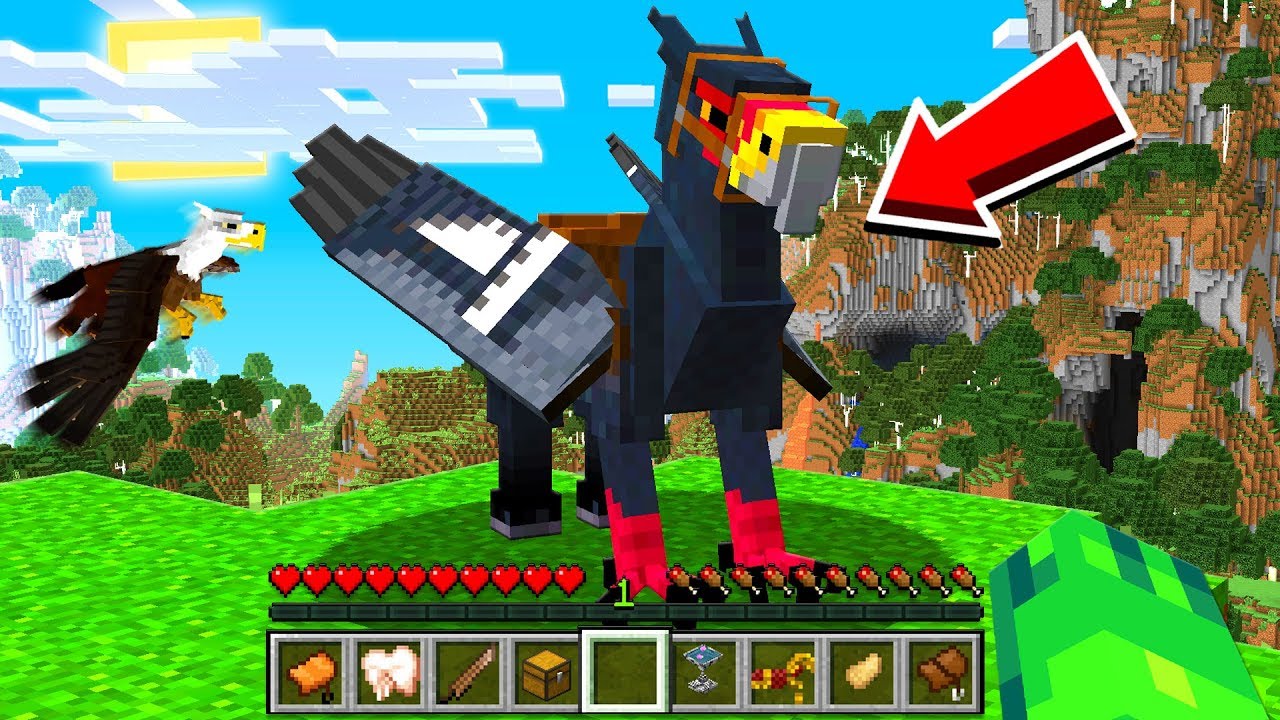 TAMING a FLYING Minecraft HIPPOGRYPH Pet! - YouTube