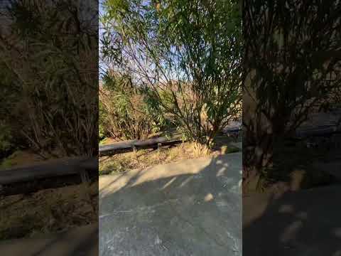 Наркологический диспансер в #Сочи получаю права 🪪