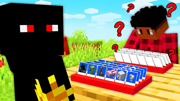We played Guess Who in Minecraft