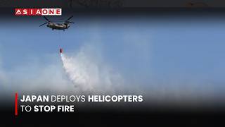Massive Wildfire Engulfs Otsuchi in Japan as Firefighters and Military Helicopters Battle Blazes