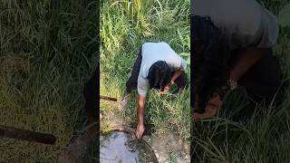 1 million views 1000 subscribe like share #viral #water #safewater #lovewater #purewater #subscribe