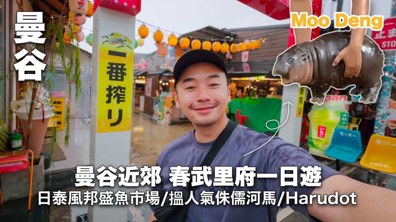 【曼谷➡️春武里一日遊】日泰式邦盛海鮮市場/Cafe Harudot/侏儒河馬Moo Deng #moodeng #侏儒河馬 #春武里 #曼谷自由行 #芭堤雅￼