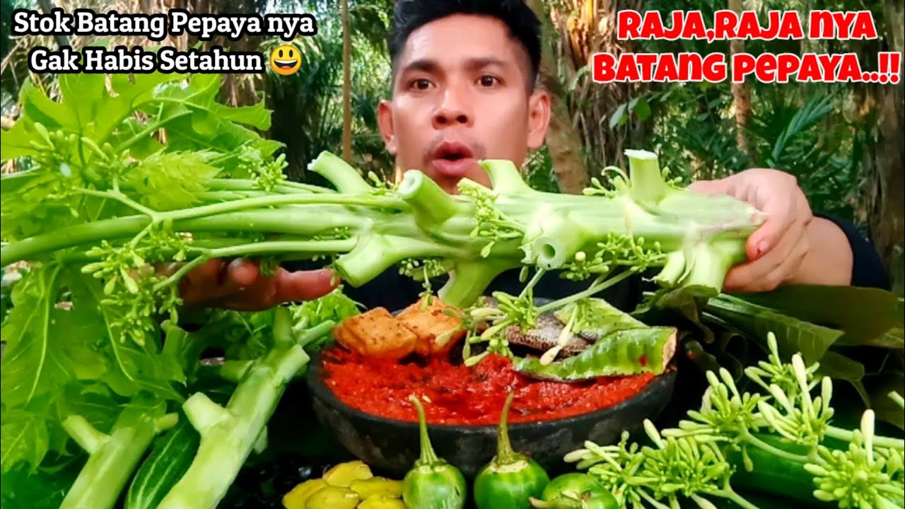RAJA NYA BATANG PEPAYA‼️MAKAN BATANG PEPAYA MENTAH TANPA NASI