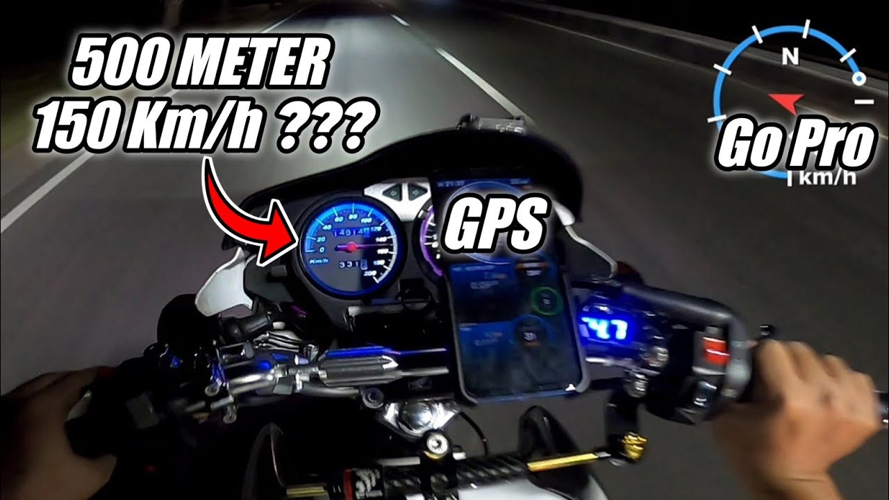 TOP SPEED TIGER PEJANTAN TANGGUH 500M!