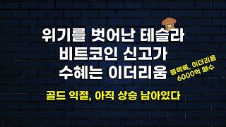 테슬라 상승 어디까지 봐야하나, 주목받는 이더리움 이렇게 참고하세요 (feat. 골드 채권 엔비디아)