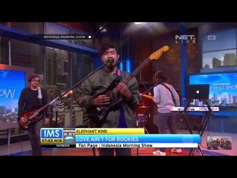 Elephant Kind  - Love Ain't For Rookies