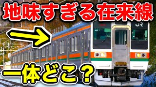 全然注目されない『地味すぎる在来線』に乗ってきた！めちゃ魅力的でしたよ！！