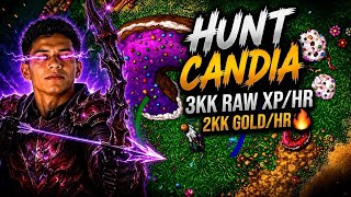 CANDIA Rubinot: 2KK GOLD/HR E 3KK RAW XP/HR! (SOLO HUNT)