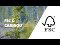 A brief introduction to fsc   caribou