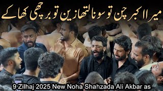 Mera Akbar chan tu sona latha Zeen tu barchi kha k | 9 Zilhaj New Noha | Shahzaib Hassan Party