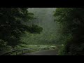 1.5 Hours of Relaxing Rain Sounds | Sleep, Focus &amp; Calm Ambience
