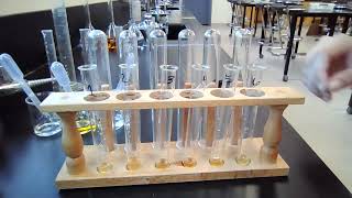 LABsent Chemical Equilibrium Lab