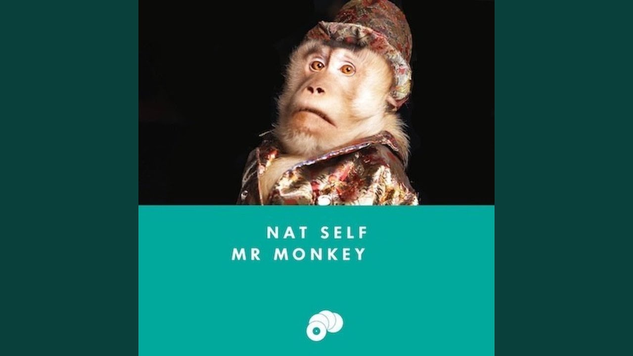Ver Mr. Monkey en YouTube Ver Mr. Monkey en YouTube