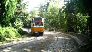 2 X Sofia Trams Meet At Ulitsa Vishneva Tram Stop.