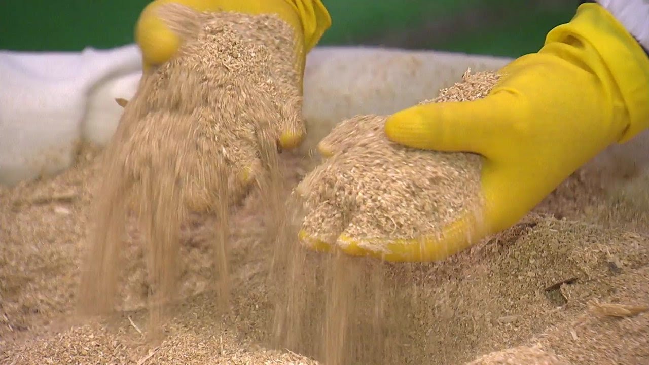 [新농비] '옻 탄다?'...독성만 쏙 뺐더니 '옻 안 탄다' / YTN