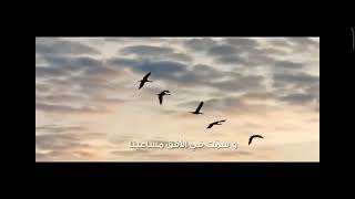 العقل تسامى بالفكر 😌