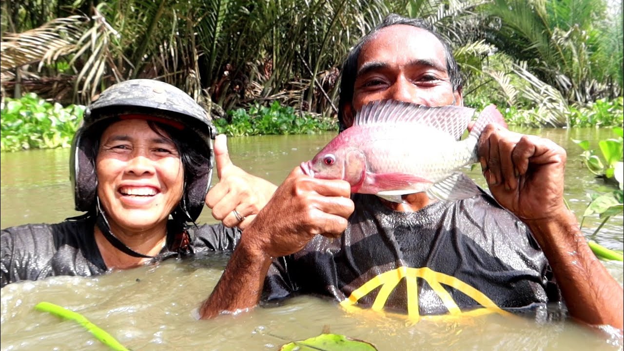 Berburu babon nila disela sela pohon nipah//rogoh mania mantap