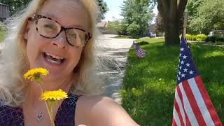 How to Pick Dandelions for Dandelion Jelly, from the WayBack Machine, Memorial Day 2022