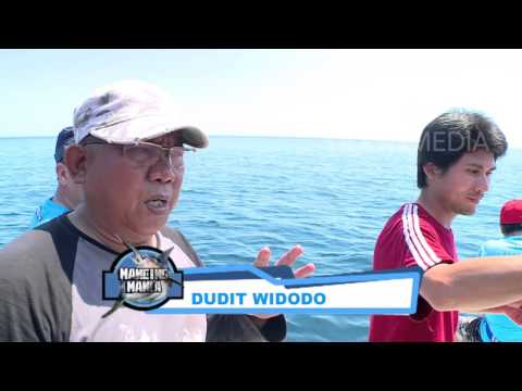 MANCING MANIA -