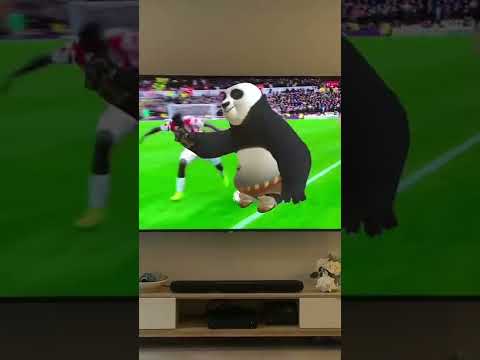 Video: Kai kutoka kung fu panda ni nini?