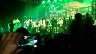 Sepesial perfom dauan bambu java exterim 4 Semarang.