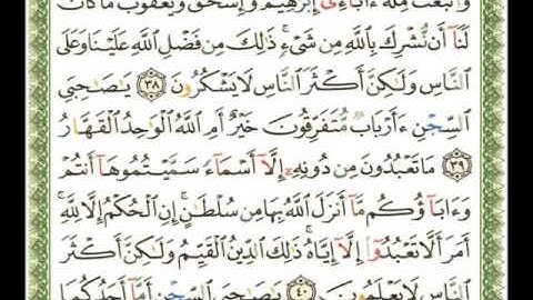 012   سورة يوسف   ناصر القطامي flv