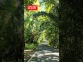 redin #purworejo