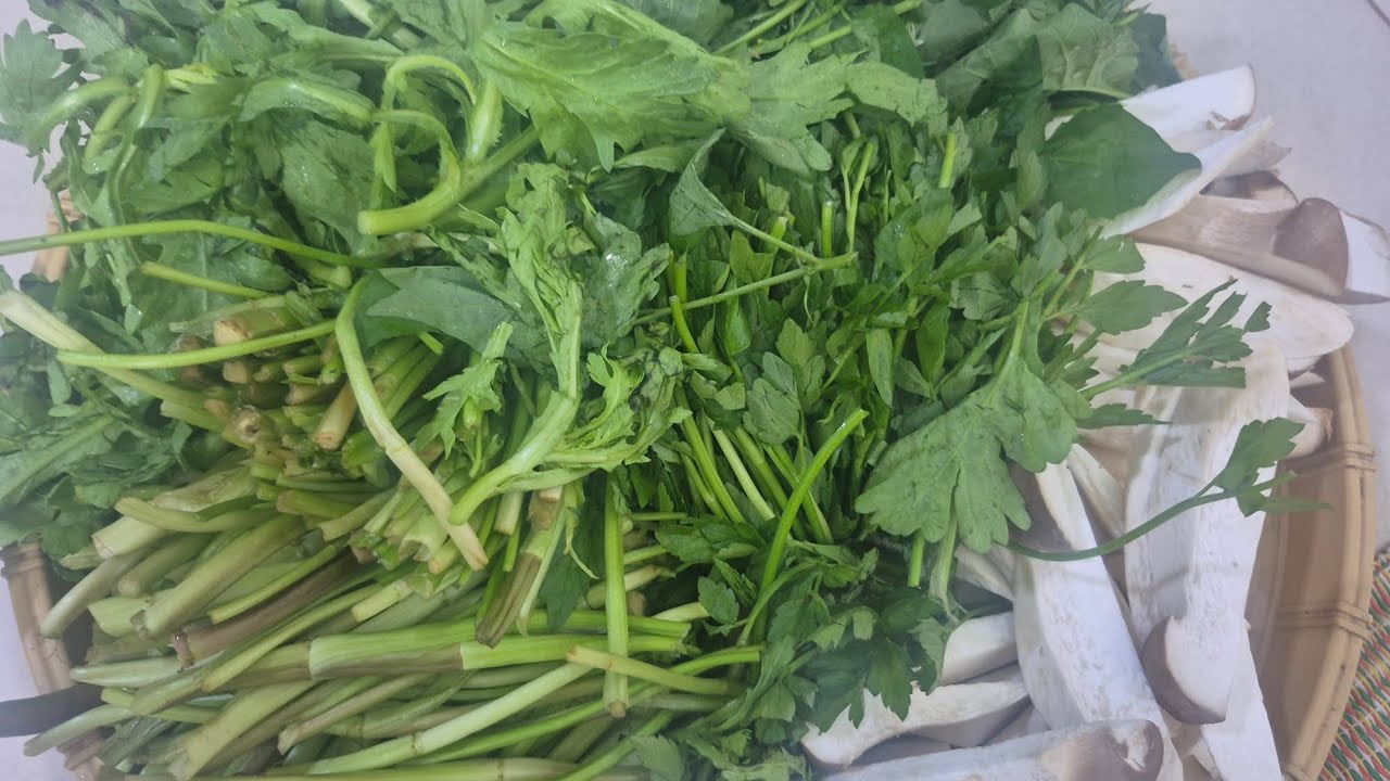 Cách Nấu Lẩu Hải Sản Đơn Giản Cho Gia Đình