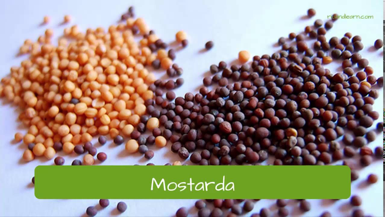 Spices in Portuguese. Learn Portuguese, A Dica do Dia.