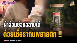 วิทย์ดีเด็ด EP.358 ผ้าอ้อมย่อยสลายได้ ด้วยเชื้อรา