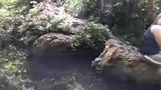 Milih menantu_karoeke_version