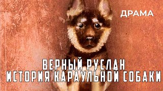 Верный Руслан История Караульной Собаки (1991 Год) Драма