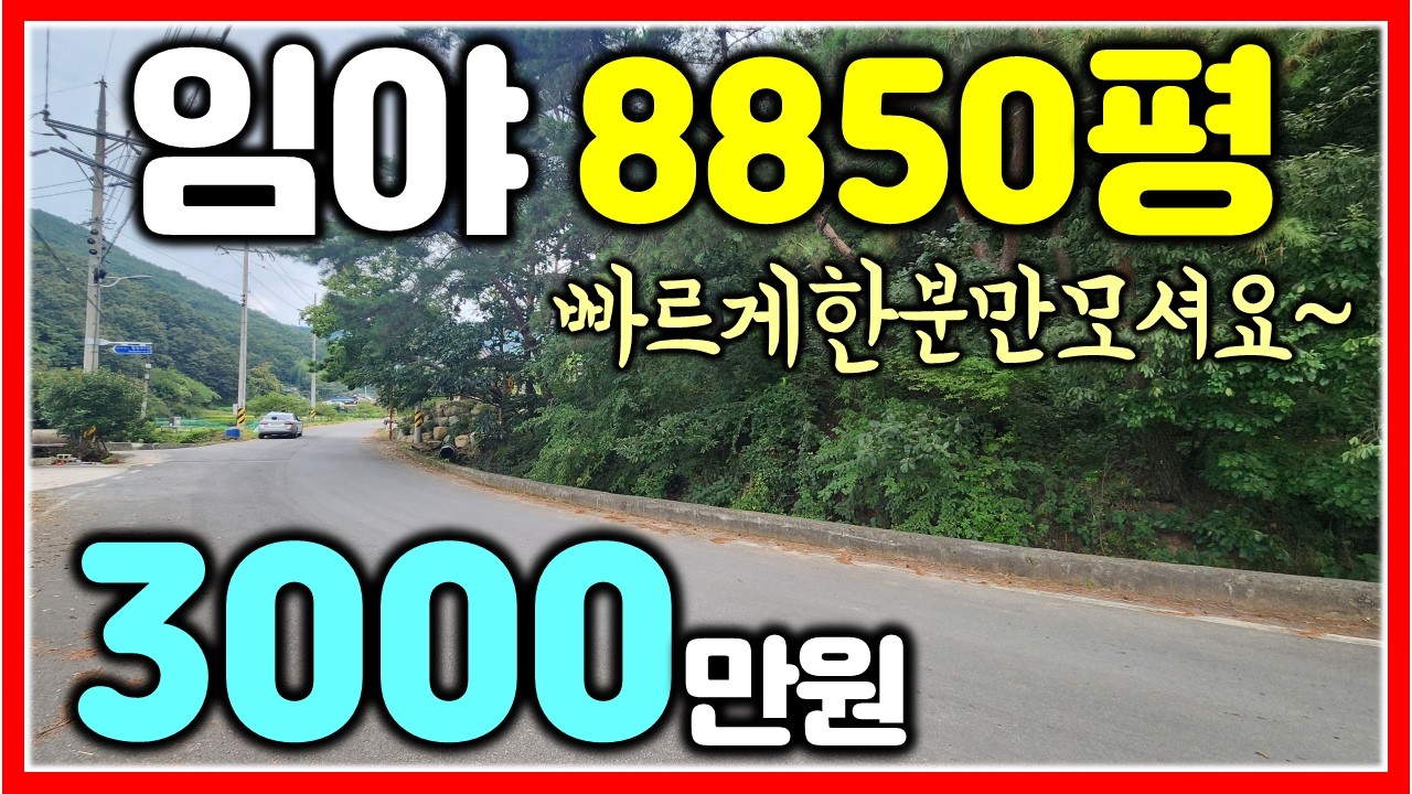 8850평 임야가 단돈 3000만원?! 완전 싸잖아 28256㎡ (8850평)