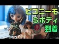 ピコニーモ Ｓボディ 白肌　プチブライスの交換ボディとして購入