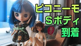 ピコニーモ Ｓボディ 白肌　プチブライスの交換ボディとして購入