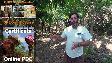 Online Permaculture Design Course