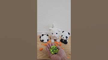 Reverse  video🌈Colored blocks #24 #cat #reverse #theworldinslowmotion