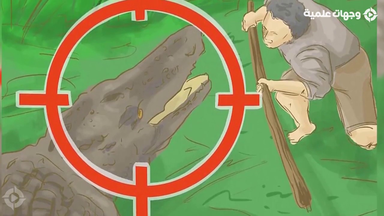 أحياء العصر الفحمي نماذج ثلاثية الأبعاد موزايك للتعليم و التعلم الرقمي