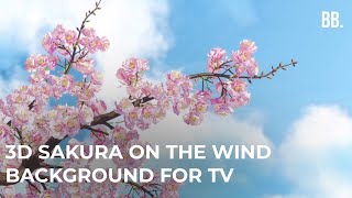 Sakura on the wind & Relaxing Spring Garden Sounds ScreenSaver for TV, PC, APPLE TV, Mi BOX